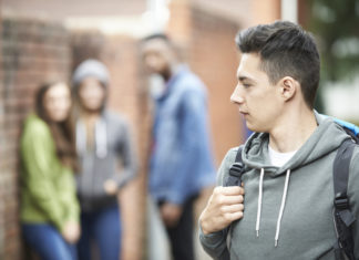 LE SCUOLE ITALIANE E I PROCESSI SUL WEB Bullismo