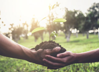 Il cambiamento nella coppia cambiamento nella coppia