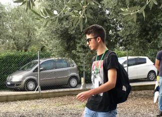 Passeggiata col cane