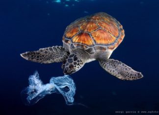 ridurre il consumo di plastica