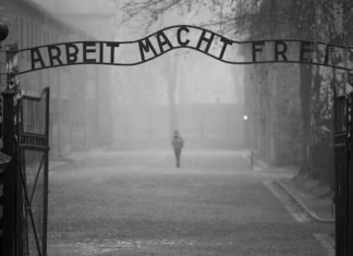 Il giorno della memoria, l’olocausto e il monito per il futuro della democrazia il giorno della memoria