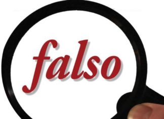 In difesa della bellezza: Vero o Falso In difesa della bellezza