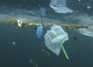 Un mare di plastica