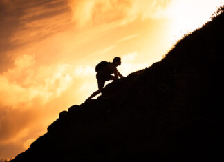 Perseveranza: La forza che muove la storia Perseveranza