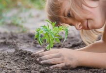 Cibo industriale vs cibo biologico. Con chi ci schieriamo? Cibo industriale e biologico
