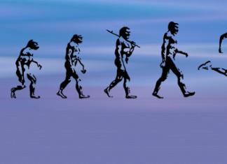 La formula dell’evoluzione Evoluzione dell'uomo