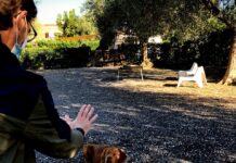 E se il mio cane avesse ragione? Se il cane avesse ragione