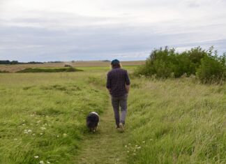 Tutta colpa della pandemia Tutta colpa della pandemia