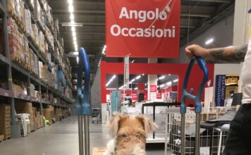 La abitudini del nostro cane