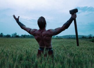 Alla ricerca del vichingo Alla ricerca del vichingo