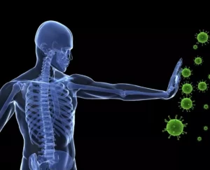 gli integratori per il sistema immunitario