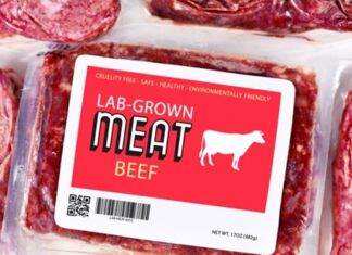 Perché tutti parlano di carne sintetica? Gianluca Bitelli