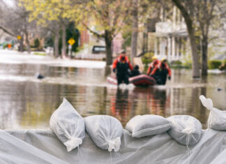 A proposito di disastri ambientali