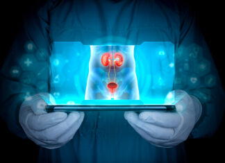 The nephrology specialist projects the kidneys, bladders, and prostate of the human body in x-rays on his tablet. He analyzes and diagnoses the patient. Personalized and modern attention