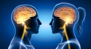 L’evoluzione del cervello maschile e femminile. L’evoluzione del cervello maschile e femminile.