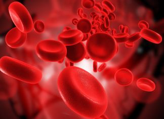 Il Sangue: il fluido più sopravvalutato del corpo Sangue