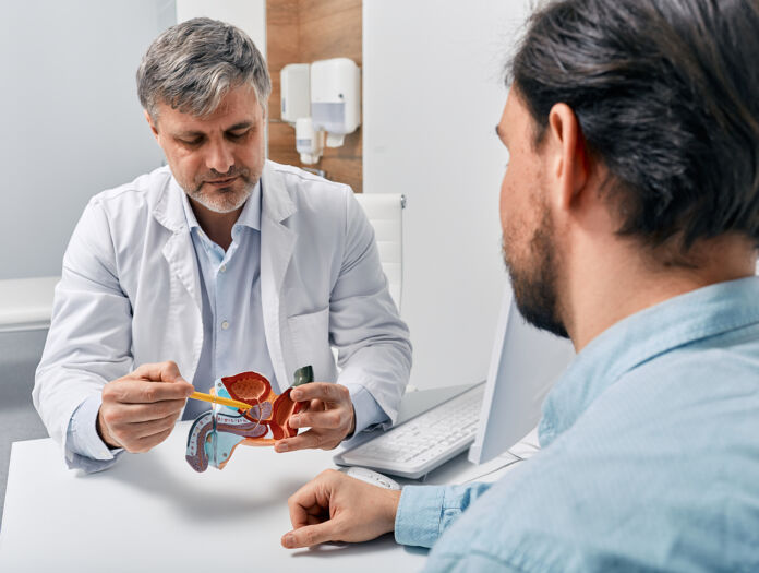 Doctor urologist consulting patient with prostatitis, explaining to him methods of treatment using anatomical model of male reproductive system. Prostatitis treatment Visita andrologica: Micropene